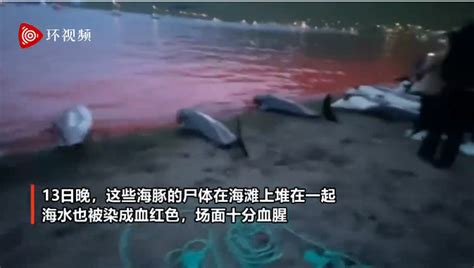 残忍！丹麦近1500只海豚遭捕杀，海水染成血红色 | 北晚新视觉