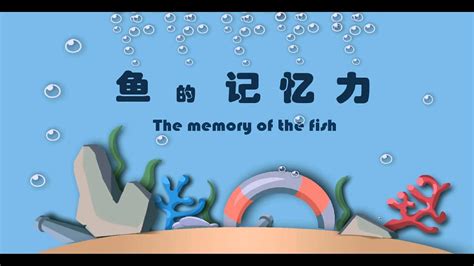 鱼的记忆力|影视|宣传片|谭年年 - 原创作品 - 站酷 (ZCOOL)