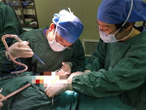 苏逢锡诊所丨德国著名乳腺外科专家造访！
