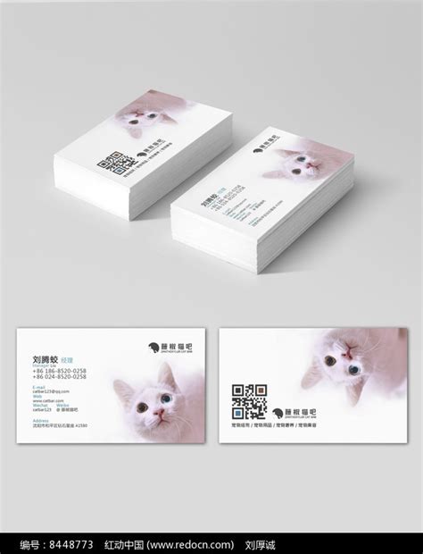 宠物店名片设计-宠物店名片模板-宠物店名片图片素材-觅知网