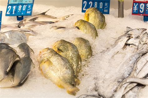生鲜超市鱼缸及超市海鲜池设计 —— 教您如何打造超市水产区域-闲时充电-