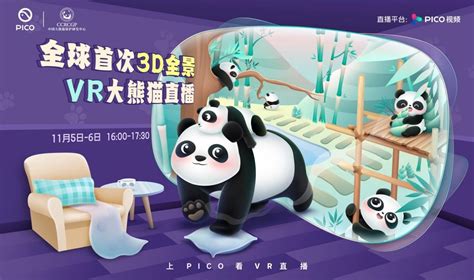 【测评】Pico Neo3：开启中国VR游戏生态进击之路__财经头条