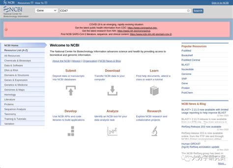 ncbi查找目的基因序列_实用教程——NCBI查询基因信息-CSDN博客