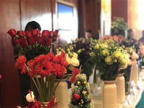海宁国际花卉城景区指南-新闻资讯-虹越花卉股份有限公司