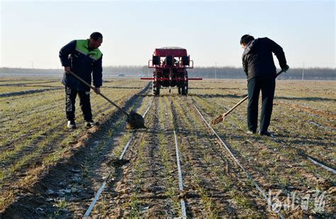 河北石家庄栾城区：打造高效节水农业凤凰网河北_凤凰网