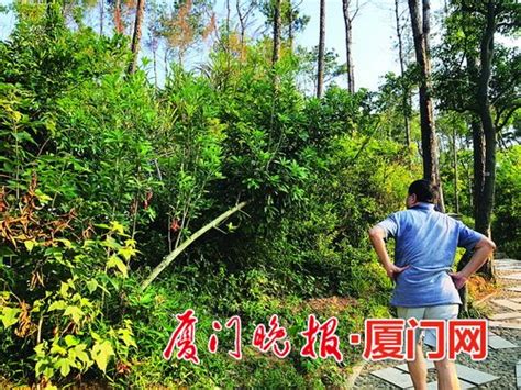 5月26日，当地一人从3米高的杨梅树上摔下，致腰部疼痛，伴有活动困难，经120急救医生现场处置后送医治疗。