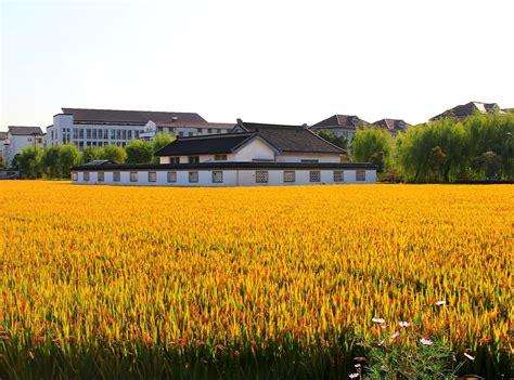 浙江很富裕的一处村子，是中国九大土豪村之一，交通便利