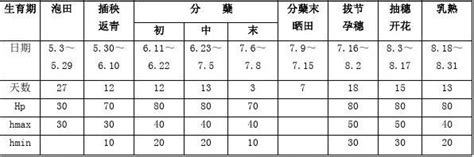 水稻智能灌溉业-湖南天开自动化科技有限公司