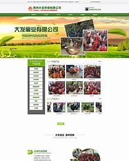 贵州网站优化推荐服务 的图像结果