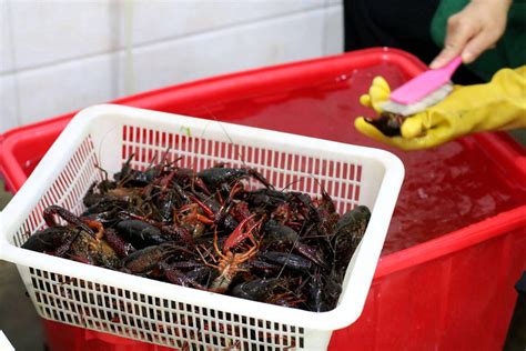 江苏淮安：万人龙虾宴火爆开席 三万食客狂扫龙虾40吨-荔枝网图片