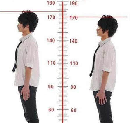 中国男性平均身高(2022(男生170在南方算矮吗))-海诗网