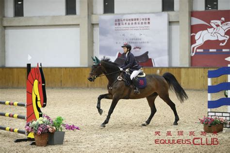 第八届中国国际马业马术展览会马匹表演场次-东方马汇(北京)马术俱乐部
