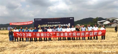 融安县：百村万亩金桔园迎来丰收季 - 广西县域经济网