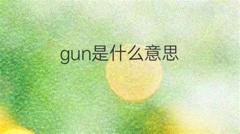 gun是什么意思 gun的翻译、读音、例句、中文解释 – 下午有课