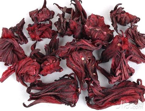 玫瑰茄图片