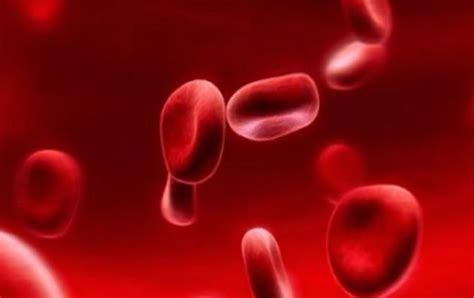 A+B型血可以生出什么血型 - 业百科