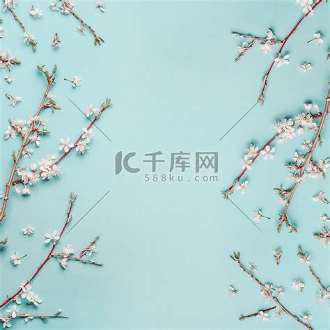 蓝色樱花背景图图片