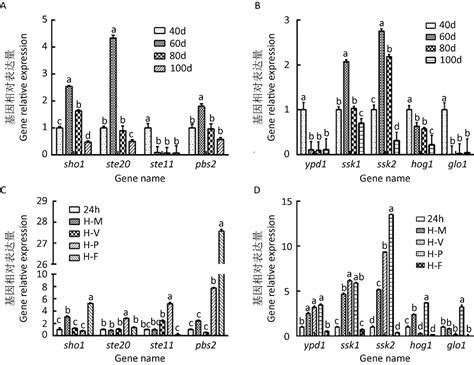 基因表达谱分析非酒精性脂肪性肝病中谷胱甘肽转移酶的作用