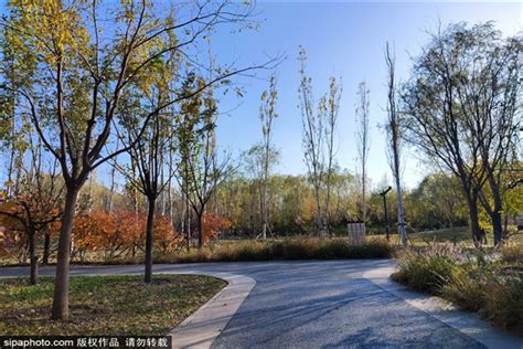 北京地坛园外园环境设计