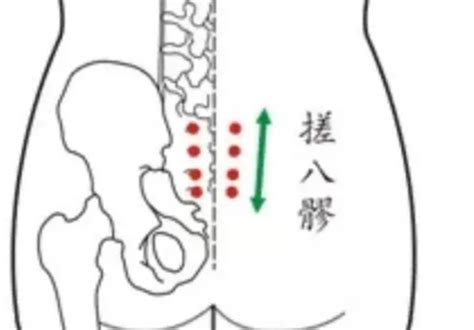 八髎穴位图图片