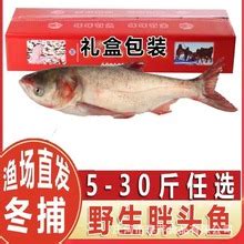 广州：未来超市淡水鱼将实现“一鱼一证”_联商网