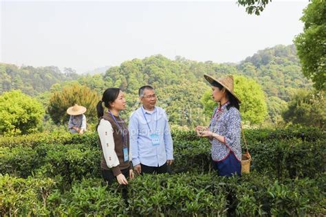 广西梧州：专项监督惠农富农政策落实-人民图片网