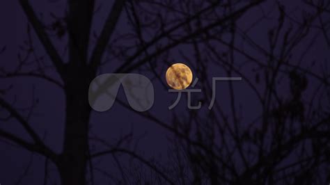 月亮与农村夜高清摄影大图-千库网