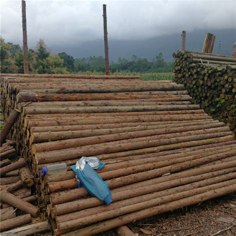 北京长期批发2米3米4米5米6米杉木杆多种规格杉木绿化杆河道桩-阿里巴巴