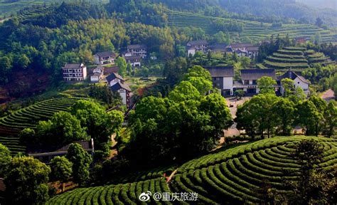 茶山的早晨 王开学 摄于湖北恩施鹤峰升子村 - 中国国家地理最美观景拍摄点