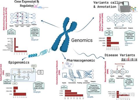 深度学习方法在人类基因组学中的应用1 — 工具、算法、资源 - 知乎