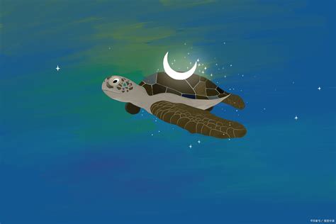 未解之谜之黄河巨龟事件，黄河巨龟是真的吗