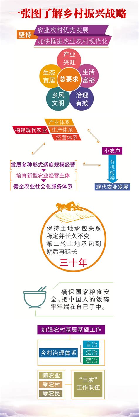 【图解】一张图了解乡村振兴战略-中国供销合作网