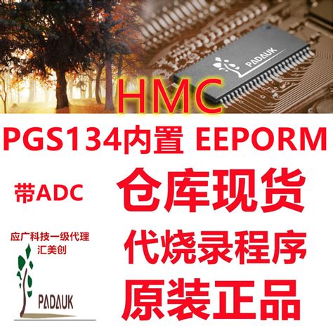 PGS134 内置EEPROM应广PADAUK单片机全新原装 一级代理价格优势-淘宝网