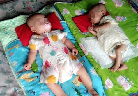 双胞胎宝宝图片-裹在温暖包被里的双胞胎宝宝素材-高清图片-摄影照片-寻图免费打包下载