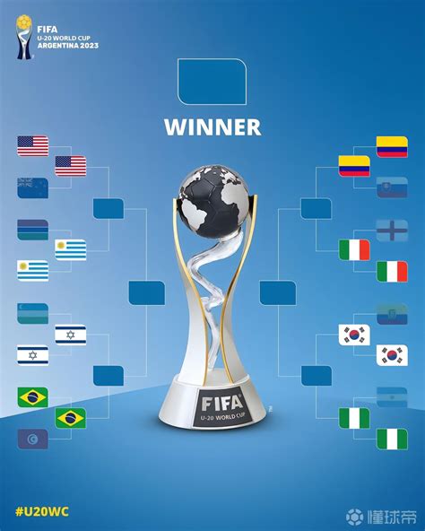 历届联合会杯冠军回顾：巴西三夺冠 法国两称王-搜狐体育