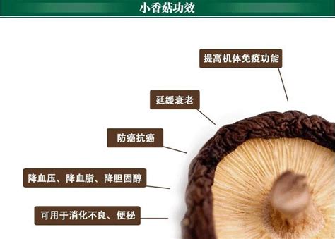 秋冬的菌菇最养人！8种菌菇营养大揭密，你最爱哪个？