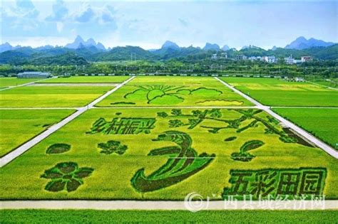 广西四个示范园区入列首批国家农村产业融合发展示范园名单 - 广西县域经济网