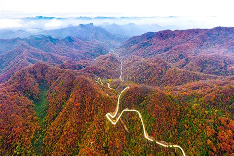 让大秦岭成为美丽“中国芯” - 地文生物景观 - 太白山旅游官网