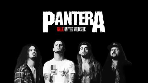 Pantera 的图像结果