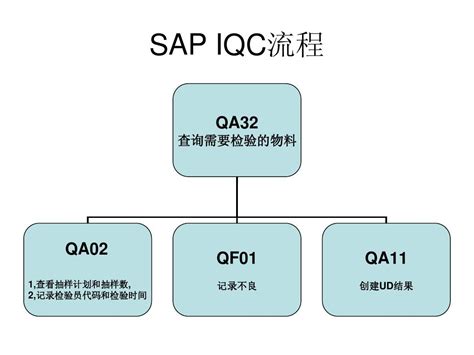 SAP IQC_word文档免费下载_文档大全