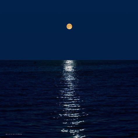 06：在夜晚的海洋深处看月亮升起 - 循环往复 | 小宇宙 - 听播客，上小宇宙