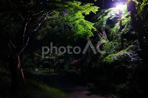 夜の公園 - No: 4926939｜写真素材なら「写真AC」無料（フリー）ダウンロードOK