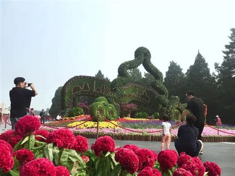 颐和园“盛世芳华”立体花坛持续吸引众多游客