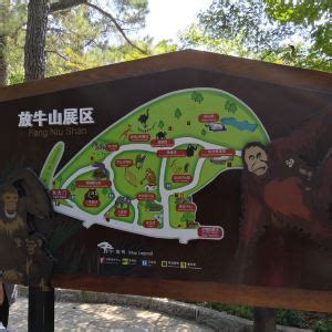 2020南京红山森林动物园免费日是哪天_旅泊网