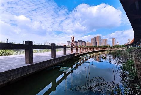 2024洹水公园位于安阳北郊，是安阳四大公园之一，曾有诗句这样描述到:剪取洹河一湾水，画成园景四季春_洹水公园-评论-去哪儿攻略