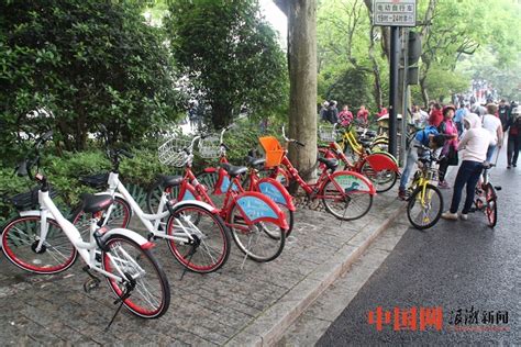 杭州公共自行车跑来武汉 跨越700多公里_湖北频道_凤凰网
