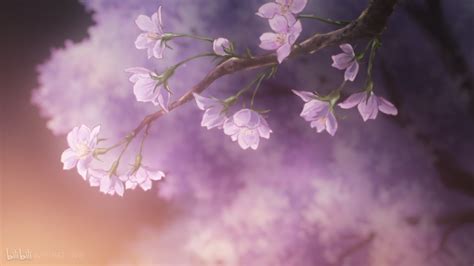 蜂蜜与四叶草Ⅱ图片