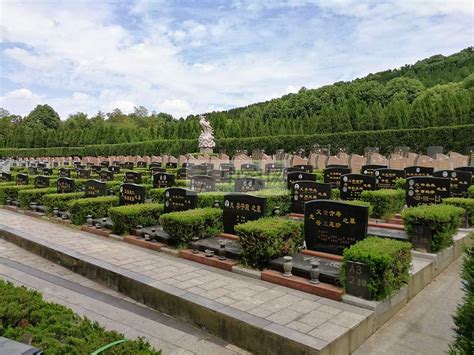 龙泉公墓景观之墓区-北京公墓网
