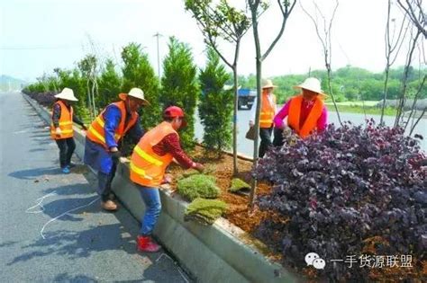 甘肃：徽县大力提高苗木繁育的科技含量 - 植保 - 园林网
