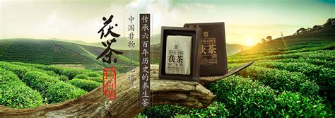 茶叶banner|Graphic Design|Promotion Materials|君安设计_Original作品-站酷(ZCOOL)